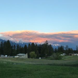 Meet your Posher, Maggie